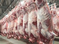 Kabinet verbiedt uitzendkrachten in vleessector