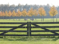 Boeren investeren in grond, niet in innovaties