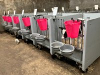 Meeste kalveren halen norm biestopname