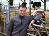 ‘Cuddle-box’ helpt bij optimale start van kalf en koe