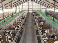 Banken twijfelen aan juridische houdbaarheid Brabants beleid