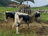 Vaccinatiegraad Zuid-Frankrijk bereikt 70 procent, overheid geeft extra geld