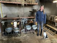 ‘Kalverhouders denken al gauw dat een melkveehouder niet goed op de kalveren past’