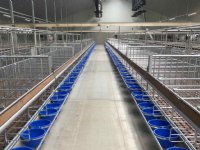 Ruim 89.000 kalverplaatsen aangemeld voor LBV-plus