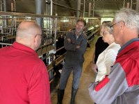 Werkbezoek PVV aan rosékalverbedrijf