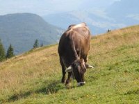 Eerste Franse beperkingsgebied opgeheven