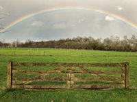 Grondbeleid op de schop voor duurzame landbouw