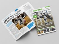 Zesde editie magazine Ons Kalf