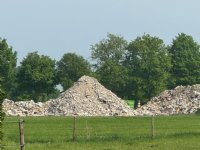 Opkoopregelingen Lbv en Lbv-plus drukken mestproductie fors