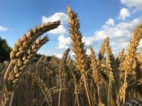 Kamer wil herbeoordeling eco-aanvragen na golf afwijzingen