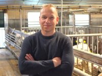 Roséstartkalveren geven dynamiek aan bedrijf