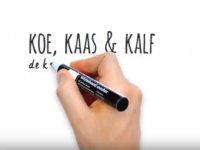 Koe Kaas & Kalf - de kalverhouderij uitgelegd