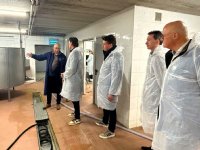 Aandacht voor kalverhouderij bij werkbezoek JA21 aan Foodvalley