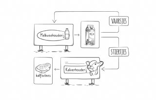 VVK+wil+met+video+realiteitszin+over+kalverhouderij+terugbrengen