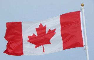 Canada+open+voor+Europees+kalfsvlees