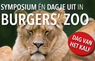 21+mei%3A+symposium+kalverhouderij%2Fmelkveehouderij%3A+Dag+van+het+Kalf