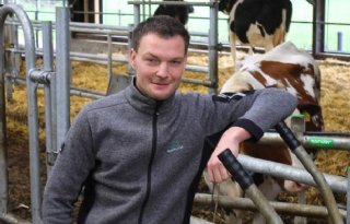 %E2%80%98Cuddle%2Dbox%E2%80%99+helpt+bij+optimale+start+van+kalf+en+koe