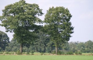 Anderhalf jaar stilstand rondom Gelderse Natura2000-gebieden