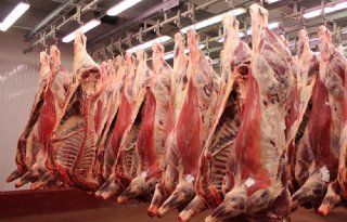 VleesNL verzet zich tegen verbod uitzendkrachten