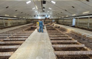 Noord-Brabant: 15 procent stikstofruimte na stoppen